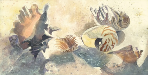 Fiji seashells beach watercolor painting